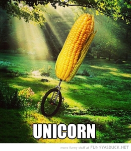 Here's a unicorn for your hard work! :)